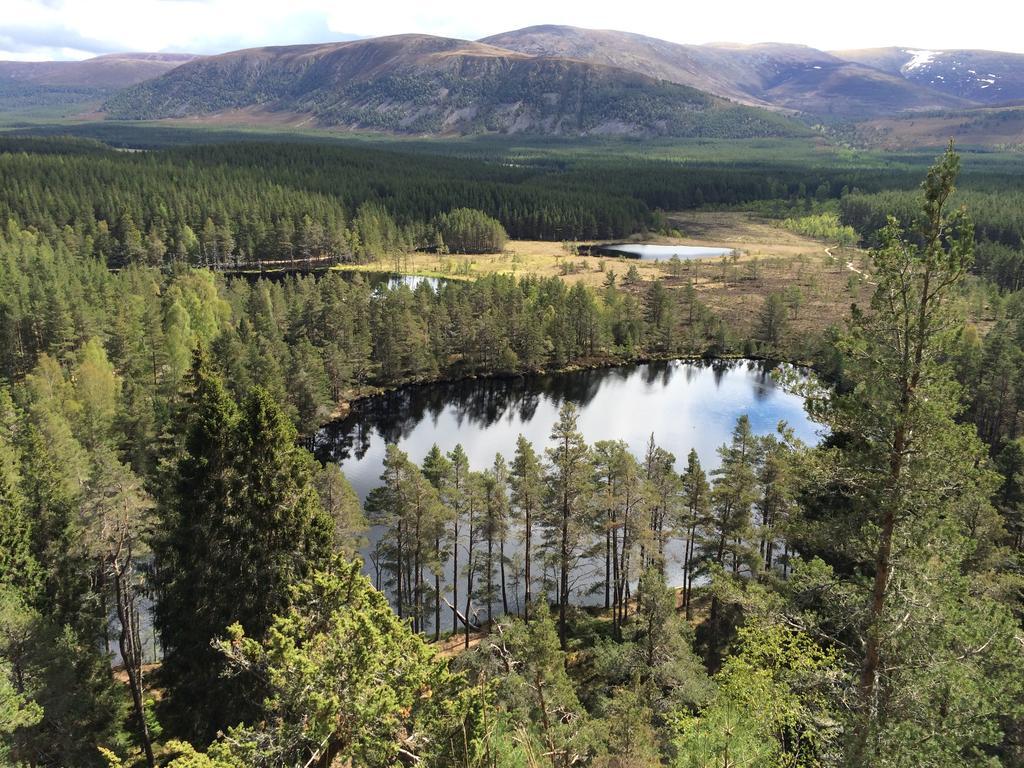 Riverbank Lodge Aviemore Exterior foto
